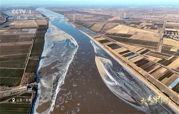 ӻ԰(ѵֱ)v1.0.0 ׿ͼ