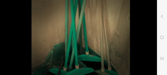 ɻУԹ2025ٷv1.0 Ѱͼ