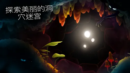 shine֮(Ӱ)v1.41 ׿ͼ