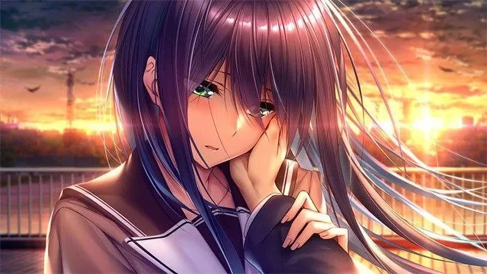 Ů22025ٷ°汾v1.2 Ѱͼ