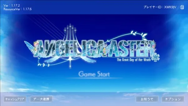 ANGELICA ASTER2025°汾