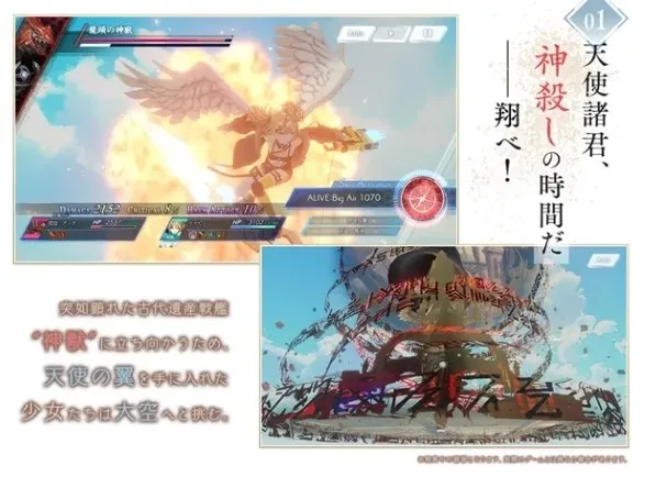 ANGELICA ASTER2025°汾