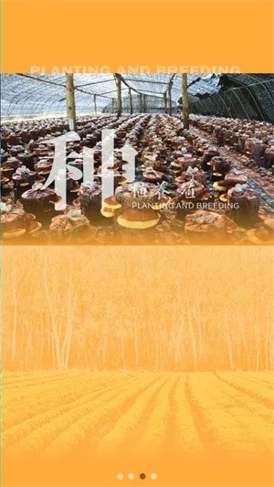 ɭũ(ũۺϷ)v1.0.12 ֻͼ