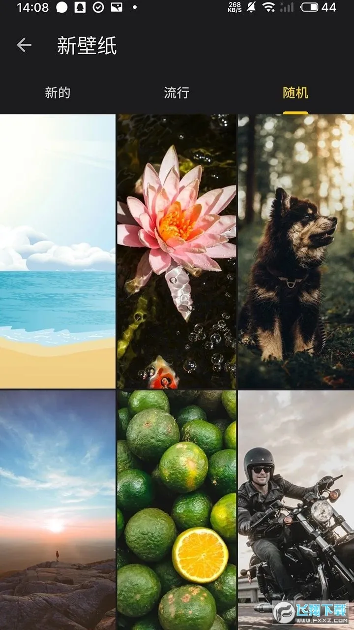 ֽ2025°汾v1.0.1 ٷͼ