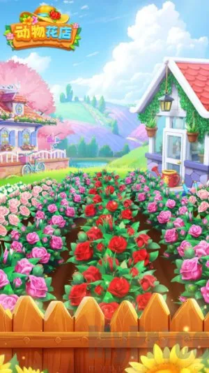 动物花店最新手机版 动物花店最新手机版