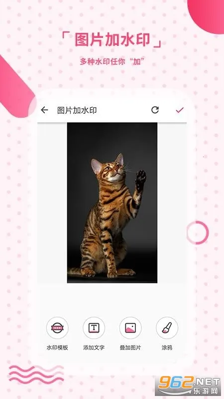 ȥˮӡ(Ӱ༭)v2.40 ٷͼ