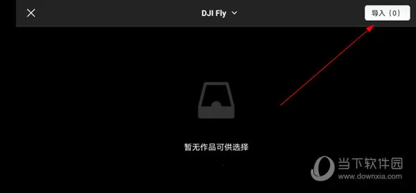 DJI Fly2025�ٷ�����