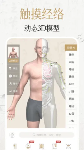 �мþ���Ѩλ��׿���ֻ���v3.8.0 ��Ѱ��ͼ