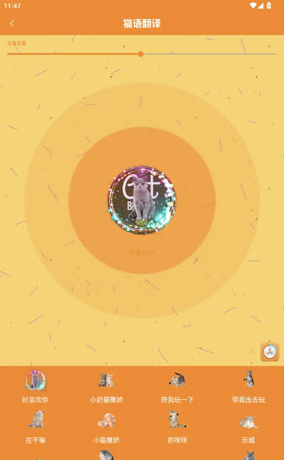 ����è��������2025���ذ�װ