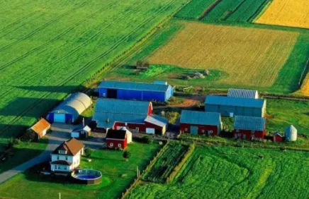 �ﳤѲ(ũ��Ѳ�ܹ���)