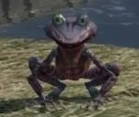 ������2025���°汾