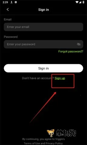 viggleai ��4��ͼ
