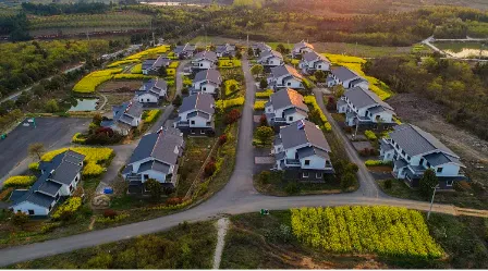 合美乡村(乡村生活服务软件) 合美乡村(乡村生活服务软件)