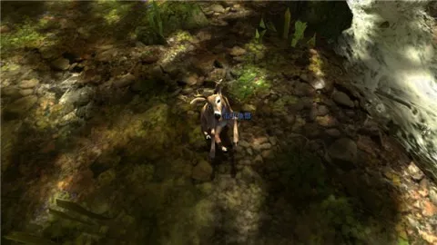 ��¹��(����ģ����Ϸ)