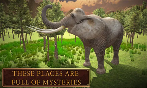 ��������ģ������׿���ֻ���