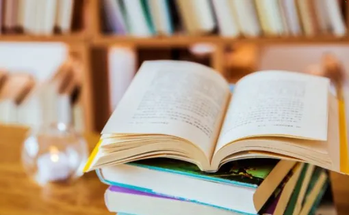 �ö�С˵2025���ذ�װ