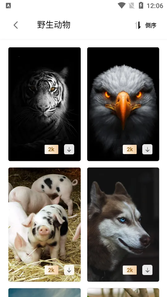 ��Ԫͼ��(����Ԫ��ֽ����)v1.0 �ֻ����ͼ