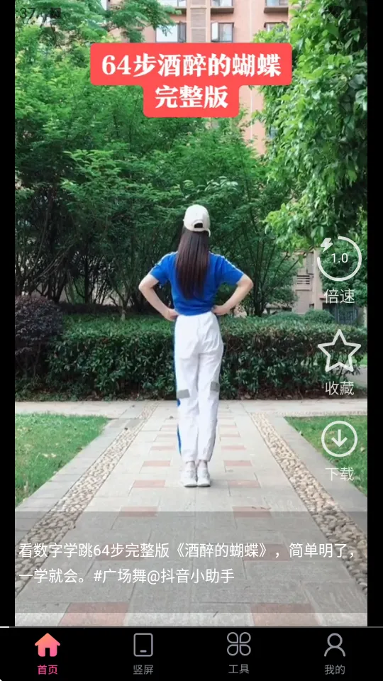 �ְ�����������2025���°汾