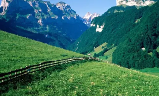 ʱ��ص����2026�ٷ����°汾