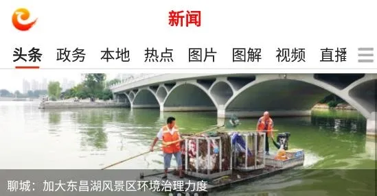 掌中聊城2026官方正版 掌中聊城2026官方正版