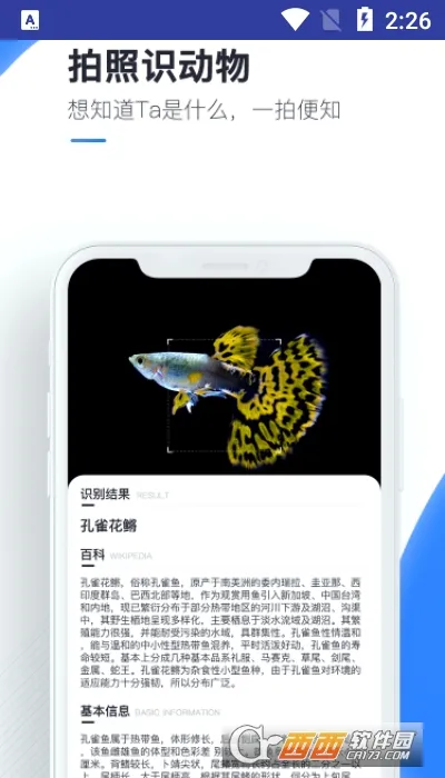 百科扫描王2026下载安装 百科扫描王2026下载安装