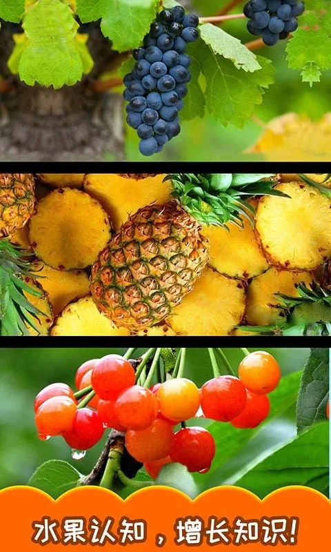 ������ˮ��2026�ٷ����°汾v3.571.311j ��׿���ͼ