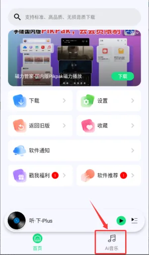 ����plus����