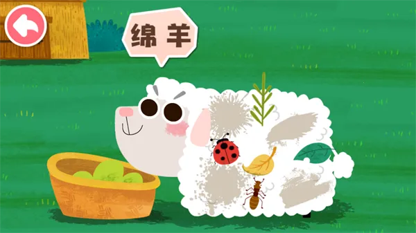 ����С����