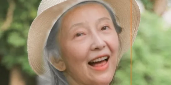 ����Ƭ�޸���