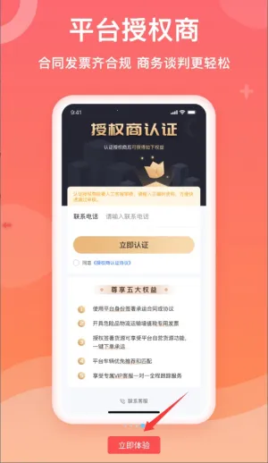 ʯ������