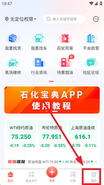 ʯ������