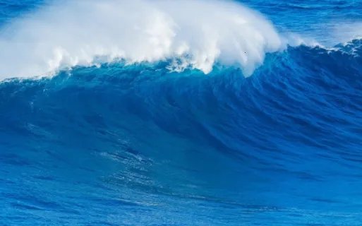 风铃相机最新手机版 风铃相机最新手机版