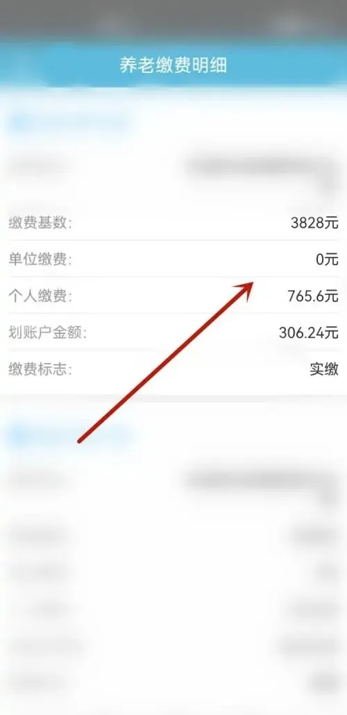 �����籣