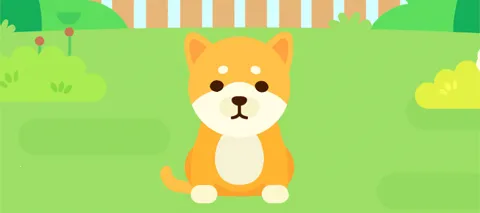 ��������Ͳ�2026���°汾