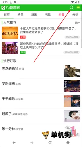 �ſ�������