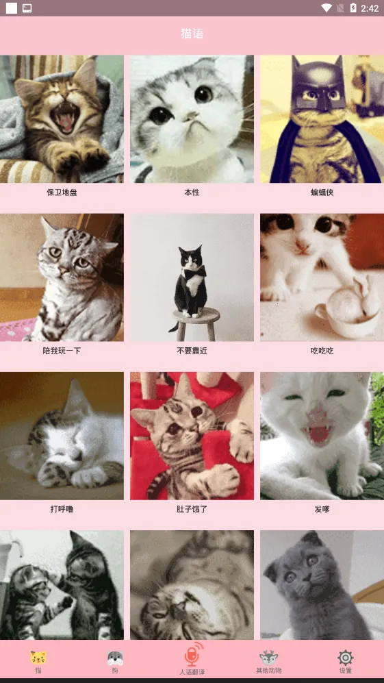 ���﷭����v9.5.5 ��׿���ͼ