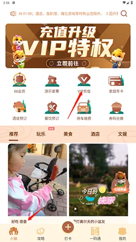 ����С��׿���ֻ���