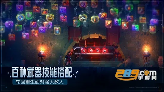 Deadcells2026�ٷ�����