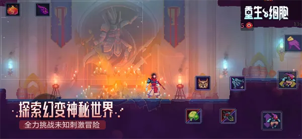 Deadcells2026�ٷ�����