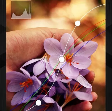 mix�˾�2026�ٷ�����