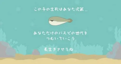 萨卡班甲鱼 萨卡班甲鱼