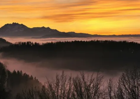 �������2026�ٷ�����