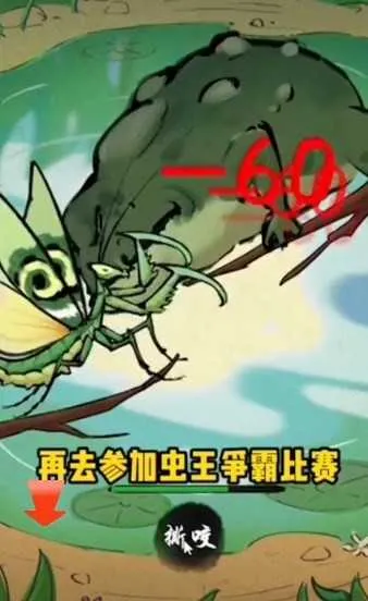 极品螳螂 极品螳螂