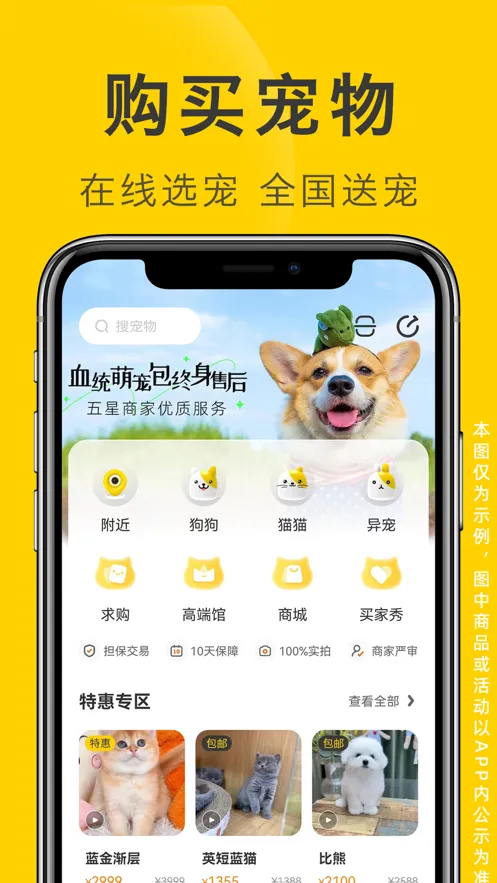 ��ֻ����v2.3.0 ��׿���ͼ