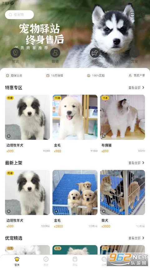 ��ֻ����