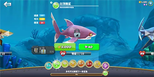 ���������������޸���