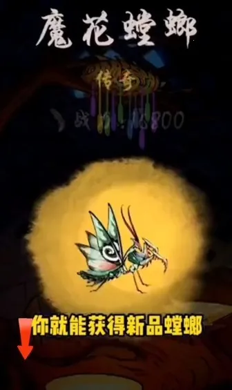 ��Ʒ���С��Ϸ�ڹ�