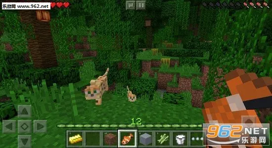 minecraft���ʰ�v1.26.20.21 ��׿���ͼ