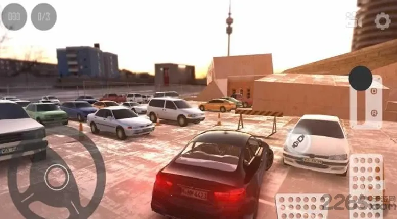 ��ʵͣ�����ƽ��v0.30.1 ��Ѱ��ͼ