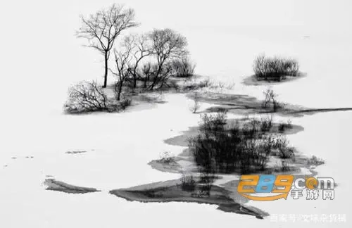 īƬ2026�ٷ�����